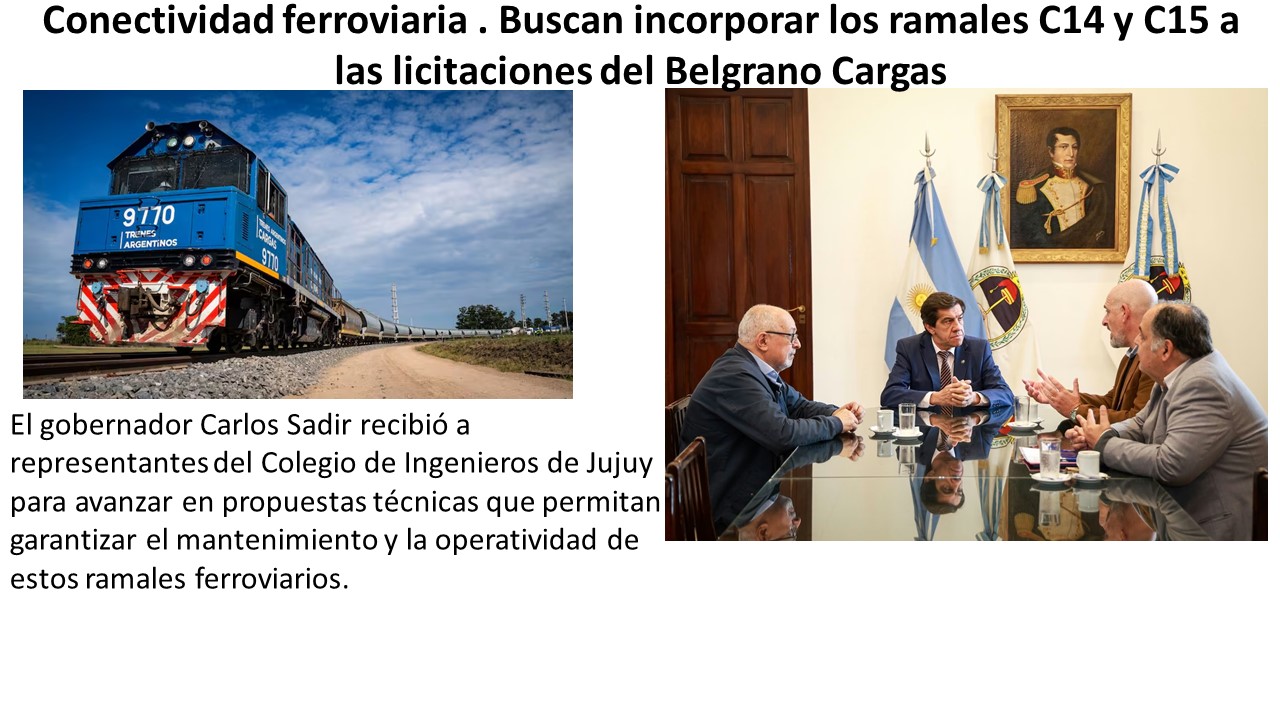 Conectividad ferroviaria . Buscan incorporar los ramales C14 y C15 a las licitaciones del Belgrano Cargas