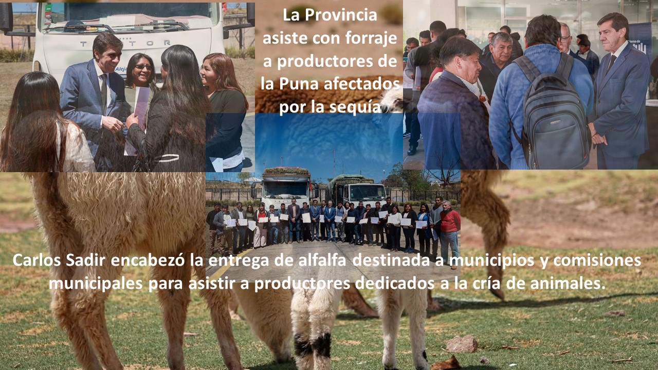 La Provincia asiste con forraje a productores de la Puna afectados por la sequía