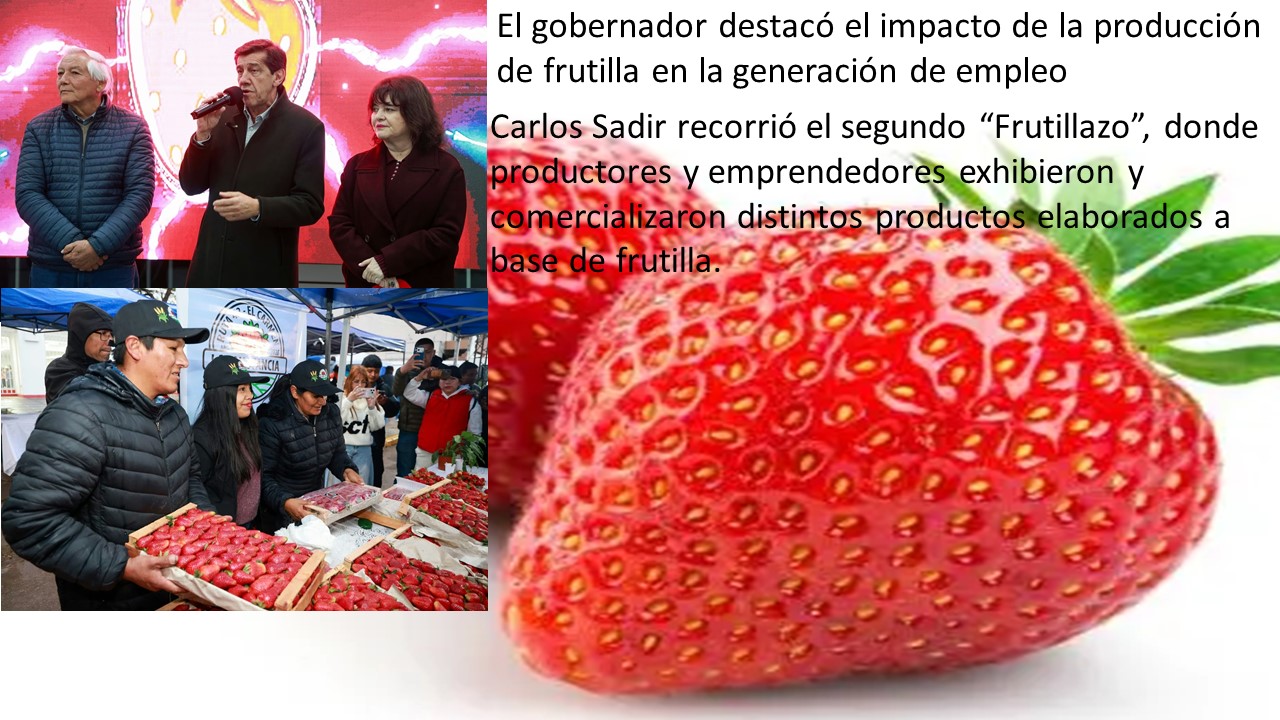 producción de frutilla en la generación de empleo